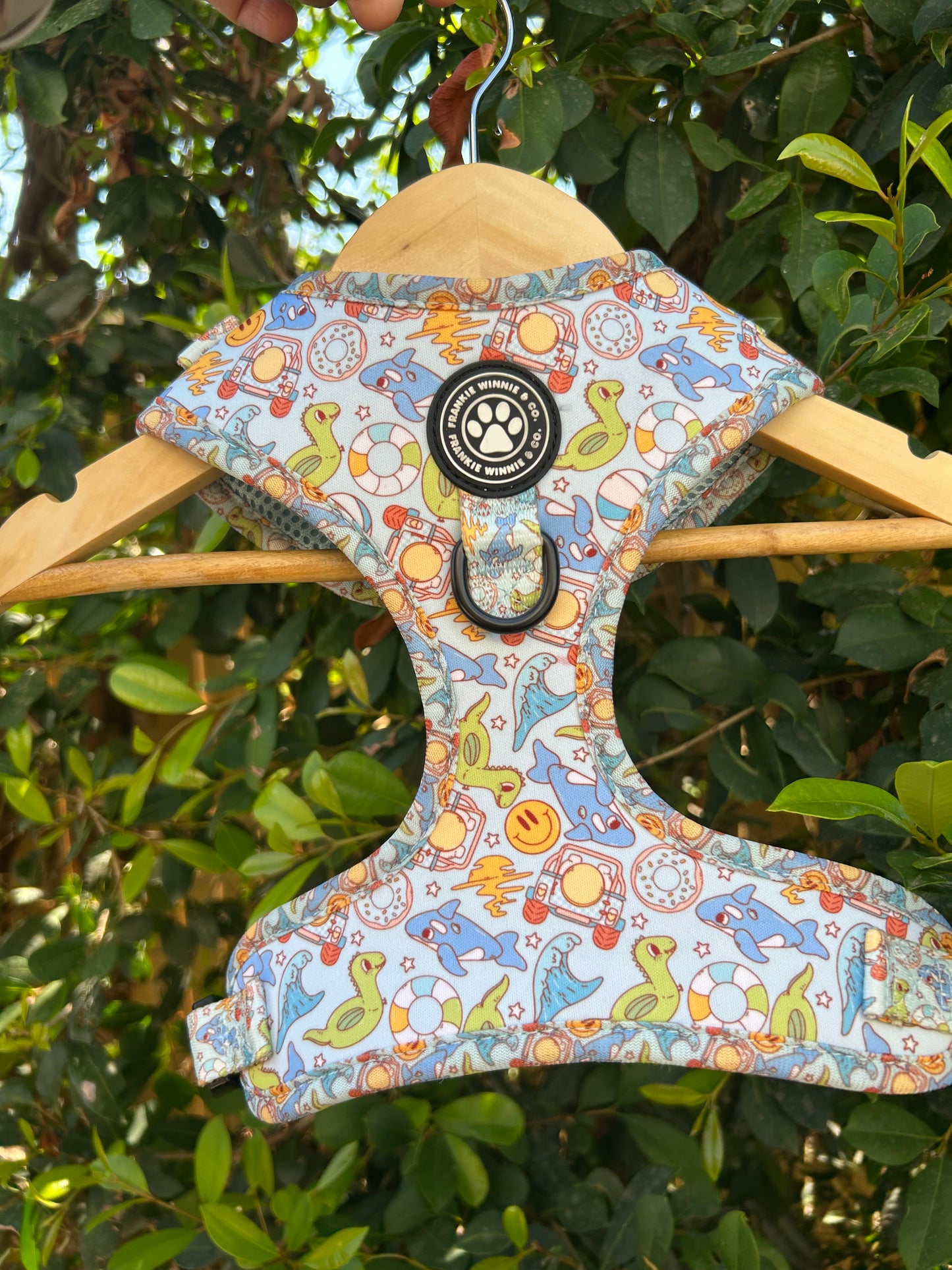 Splash Zone Adjustable Harness