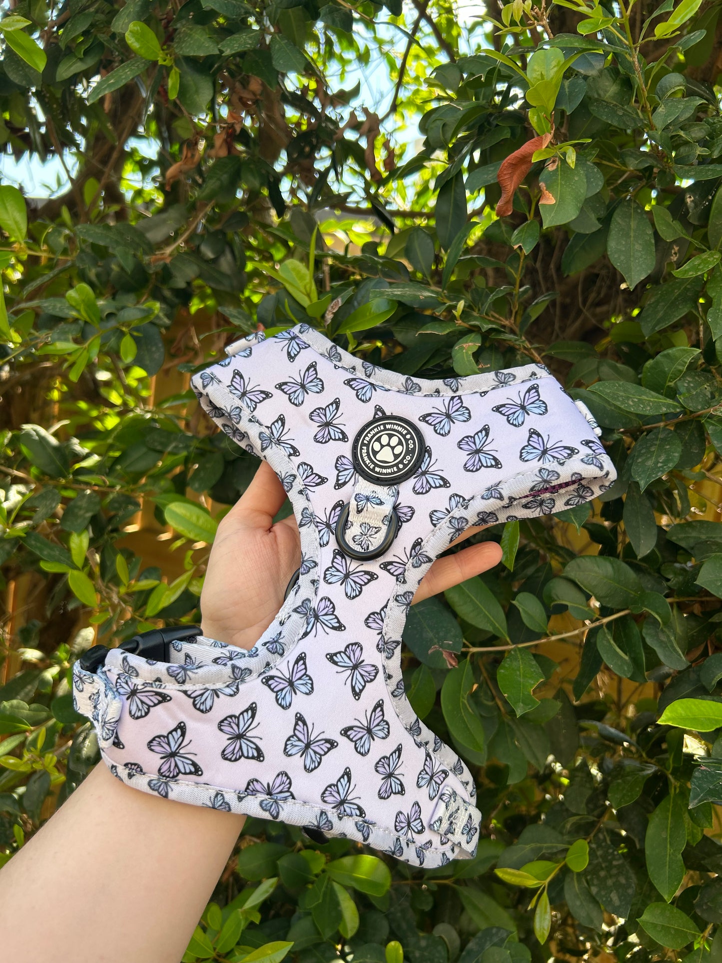 Butterfly Kisses Adjustable Harness