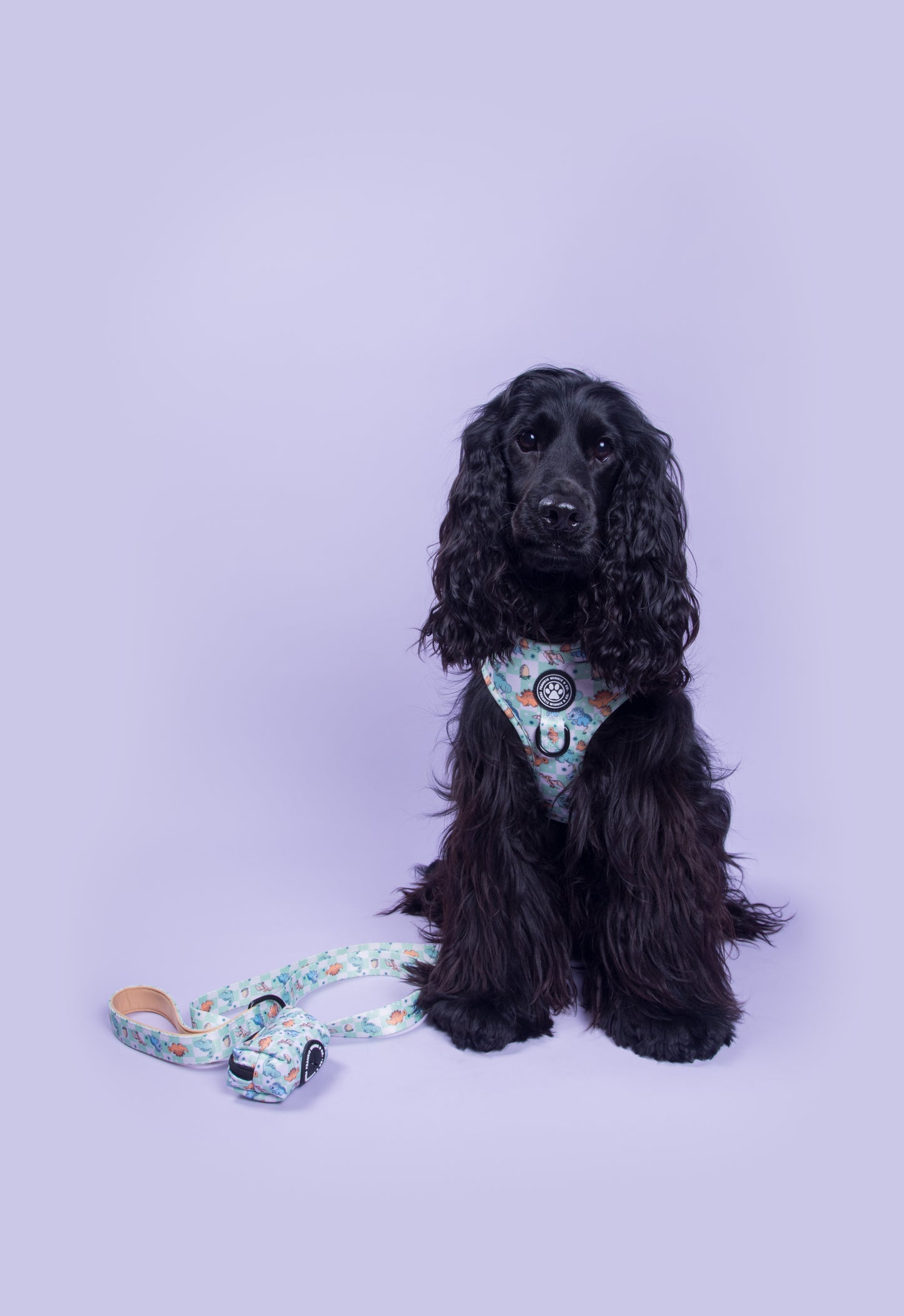 Dino Paws Collar