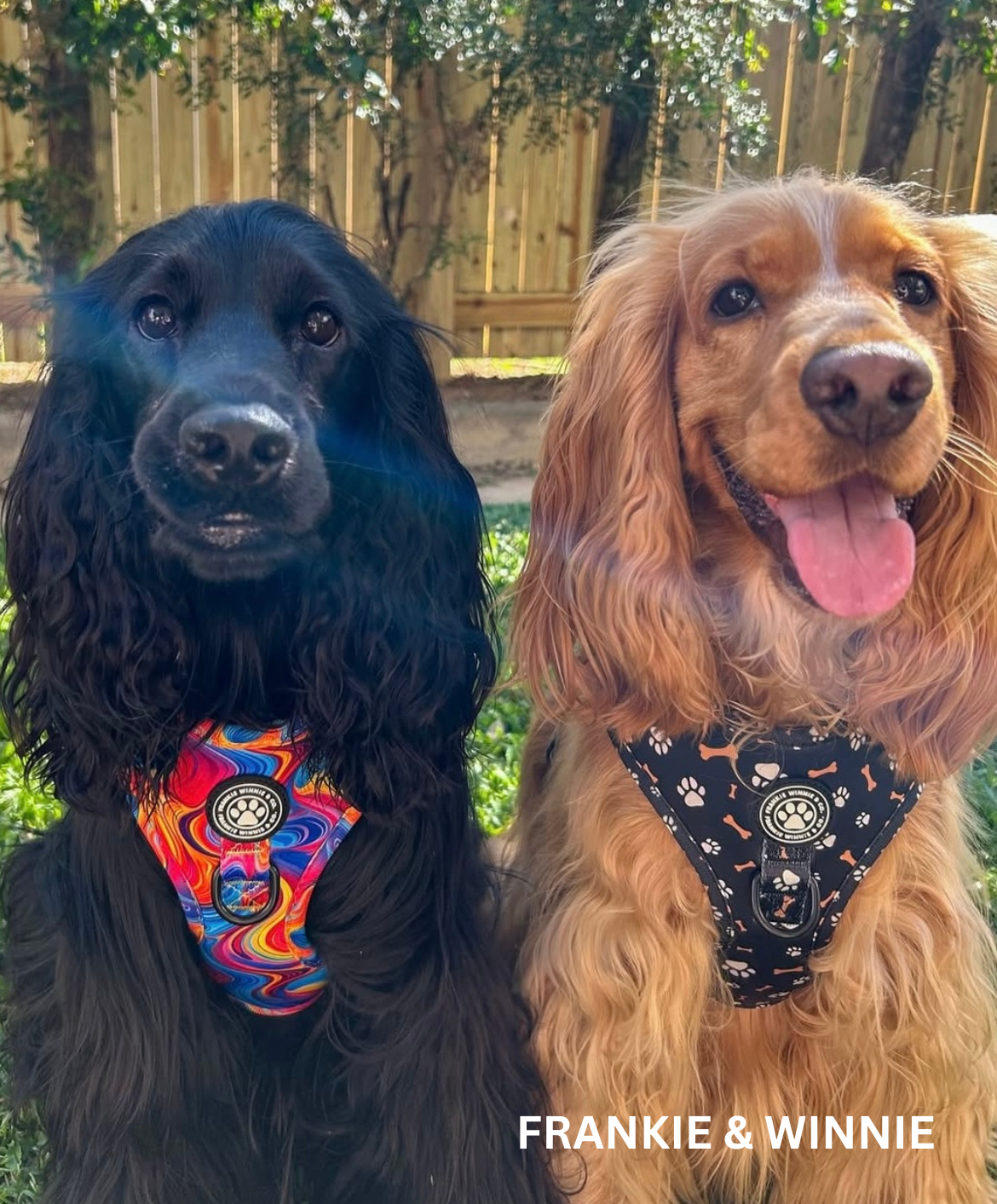 Psychedelic Paws Adjustable Harness