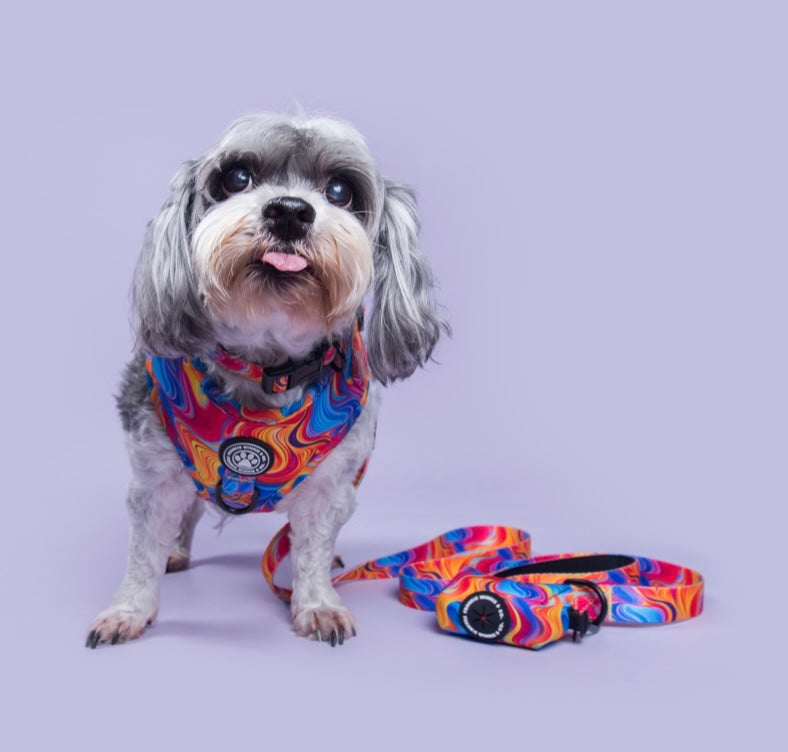 Psychedelic Paws