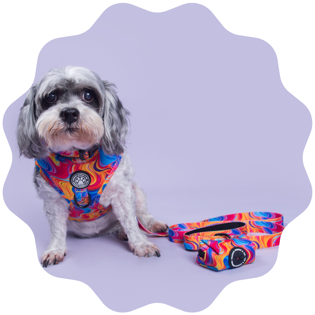 Psychedelic Paws