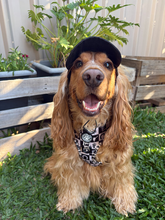 Dog Sun Hat - Black