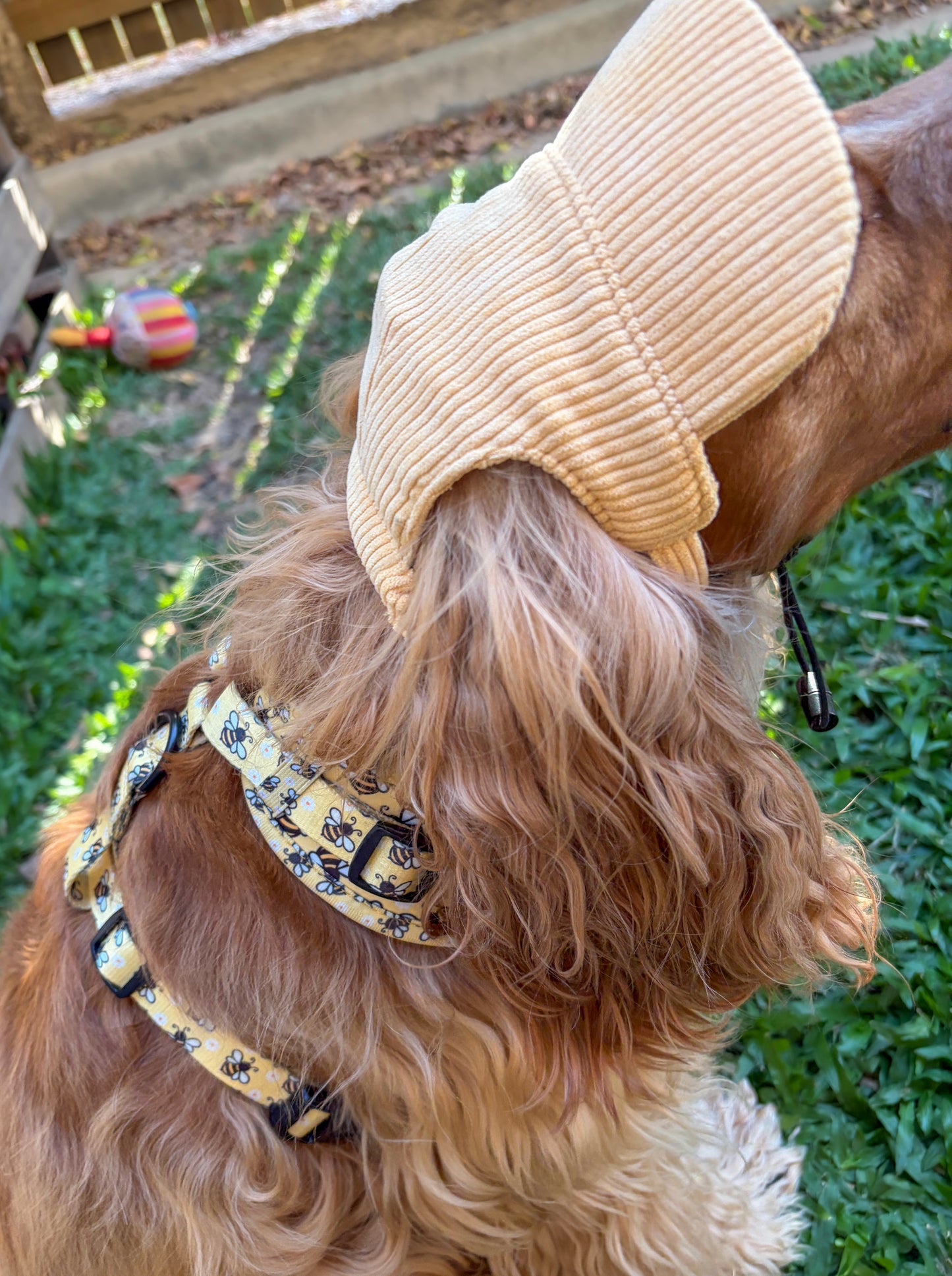 Dog Sun Hat - Yellow Corduroy