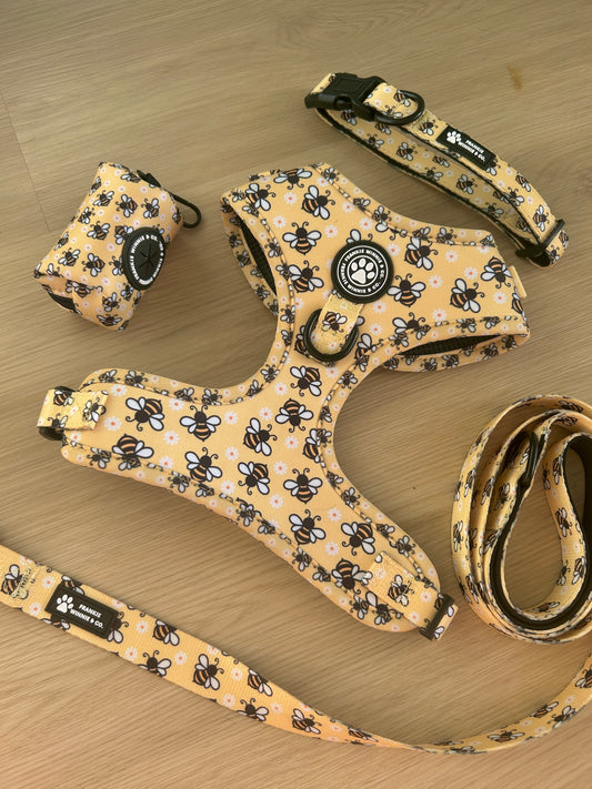 Honey Bee Walk Set (Save 10%)
