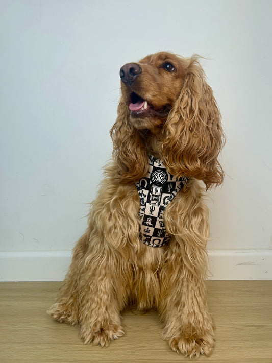 Wild West Adjustable Harness
