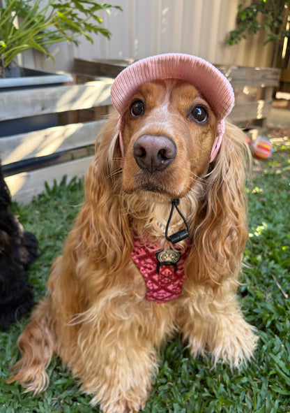Dog Sun Hat - Pink Corduroy