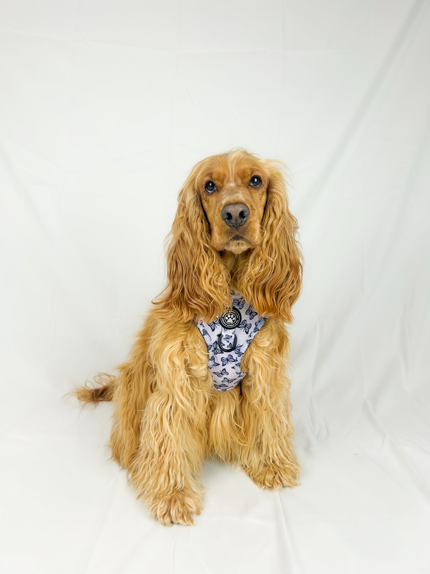 Butterfly Kisses Adjustable Harness