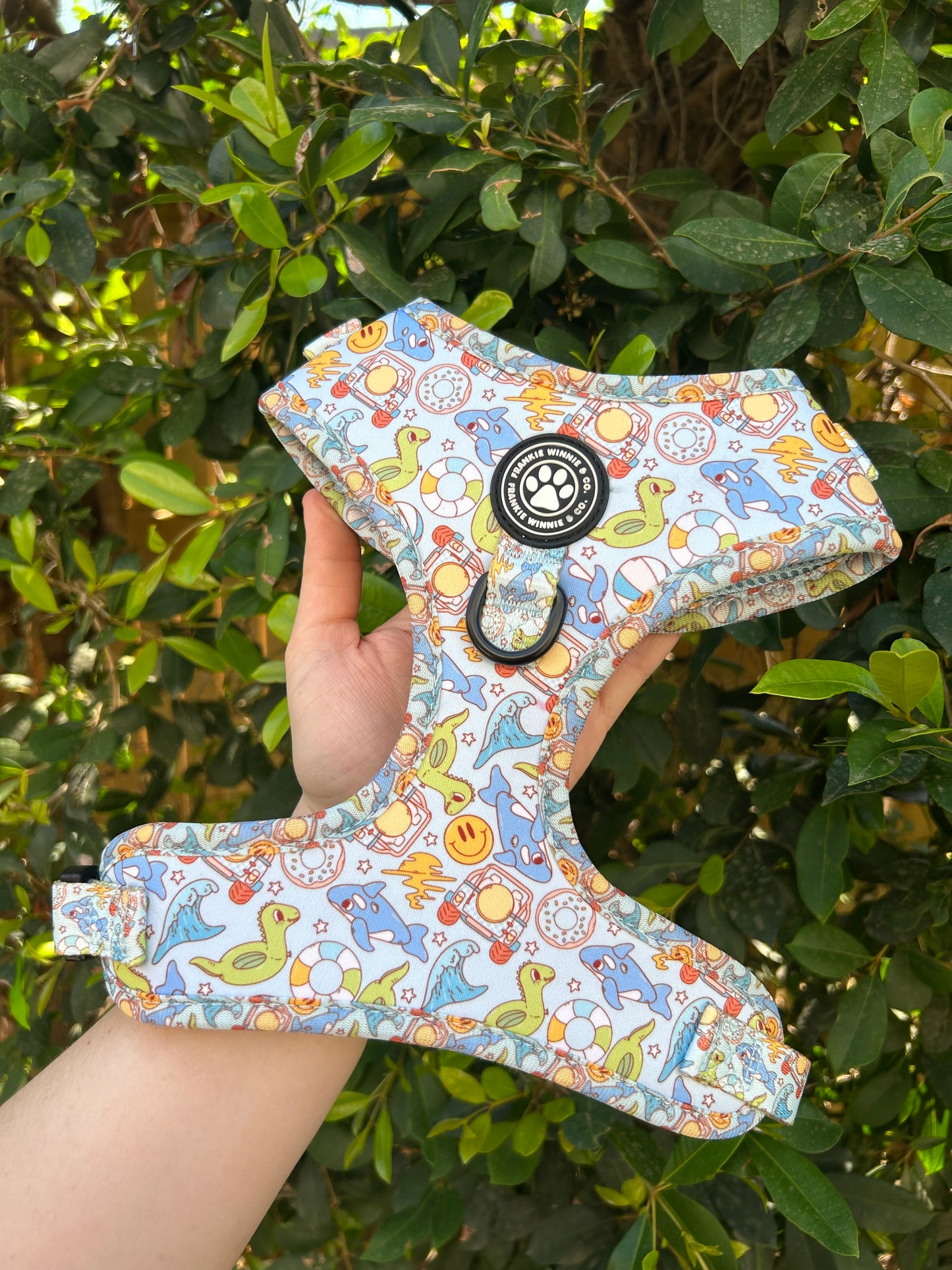 Splash Zone Adjustable Harness