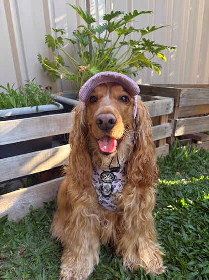 Dog Sun Hat - Corduroy Purple