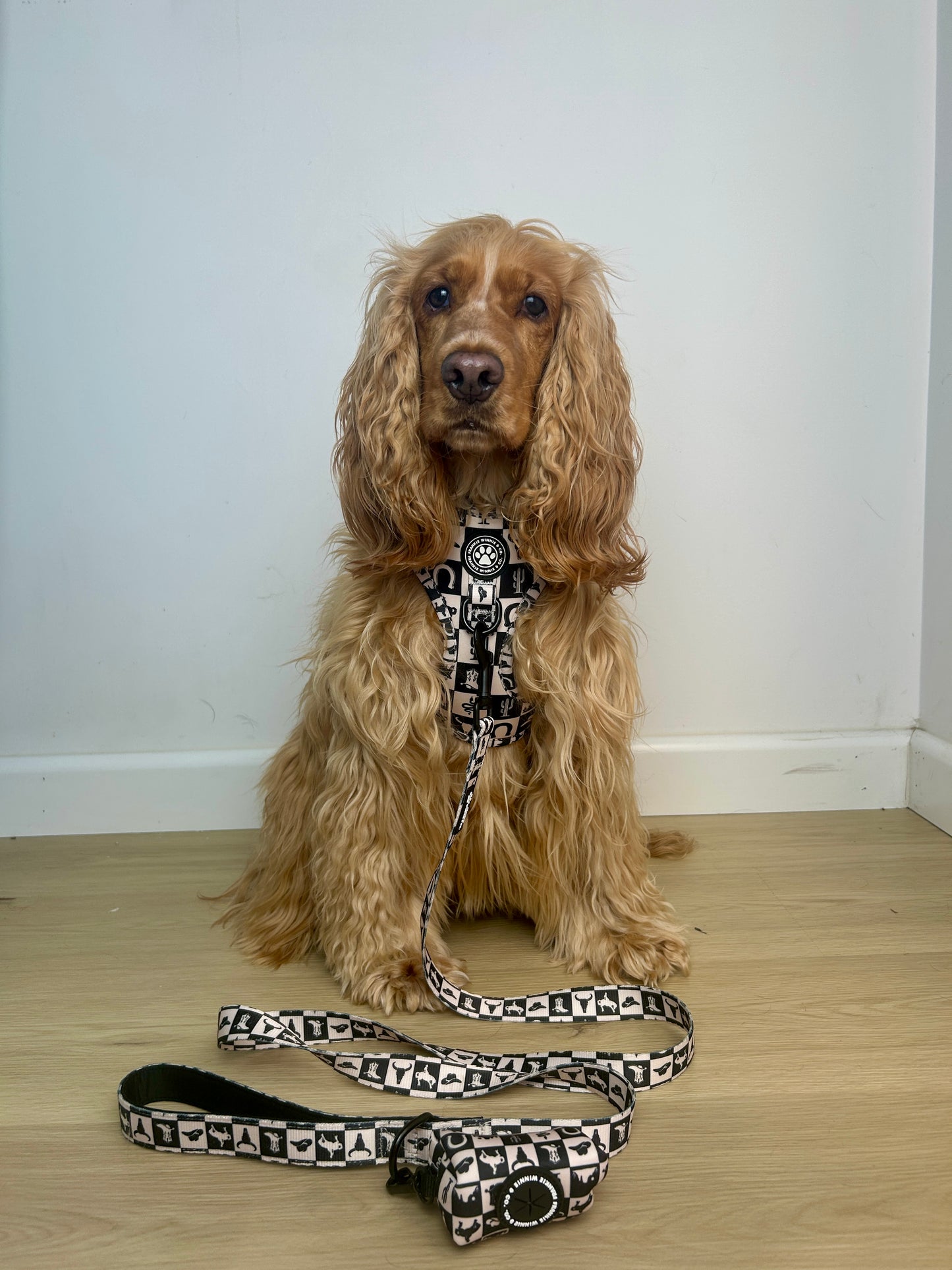 Wild West Adjustable Harness