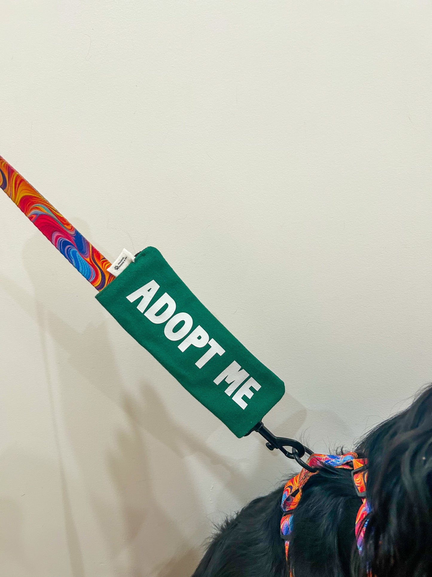 “ADOPT ME” Leash Wrap - Green