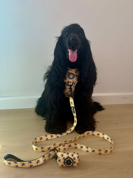 Honey Bee Leash