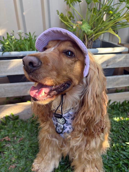 Dog Sun Hat - Corduroy Purple