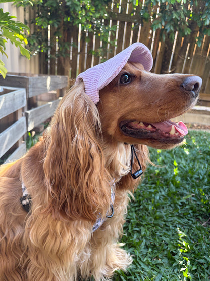 Dog Sun Hat - Corduroy Purple