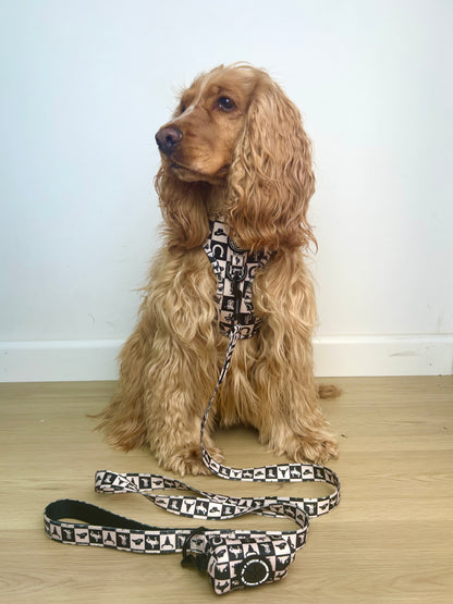 Wild West Leash