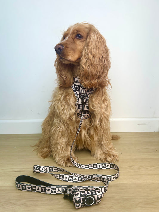 Wild West Leash