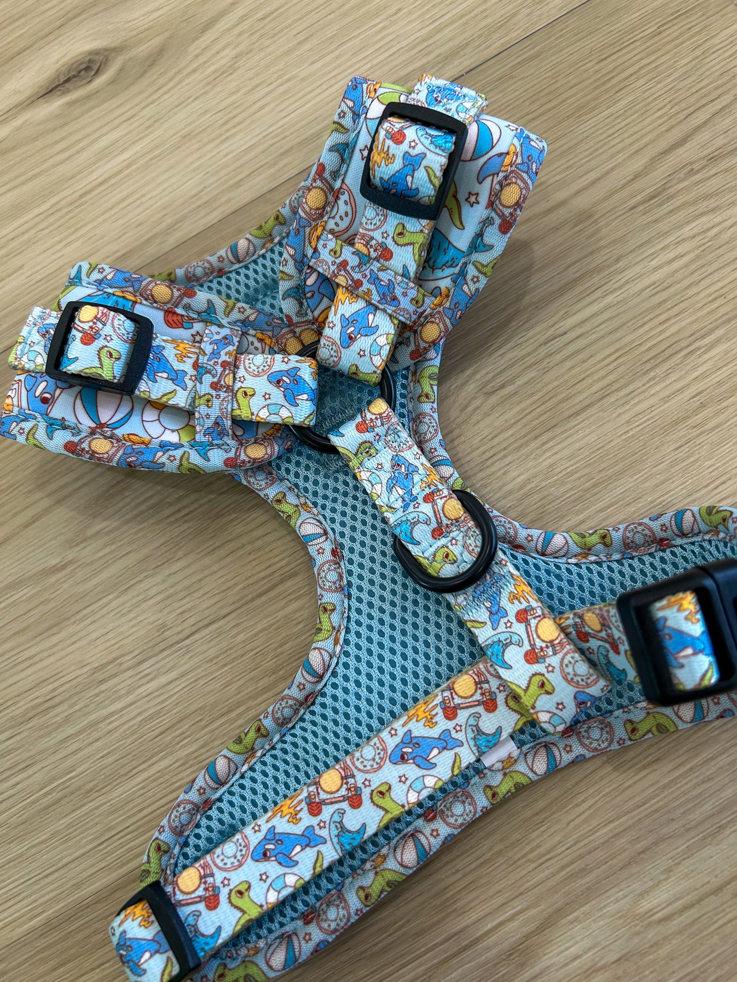 Splash Zone Adjustable Harness