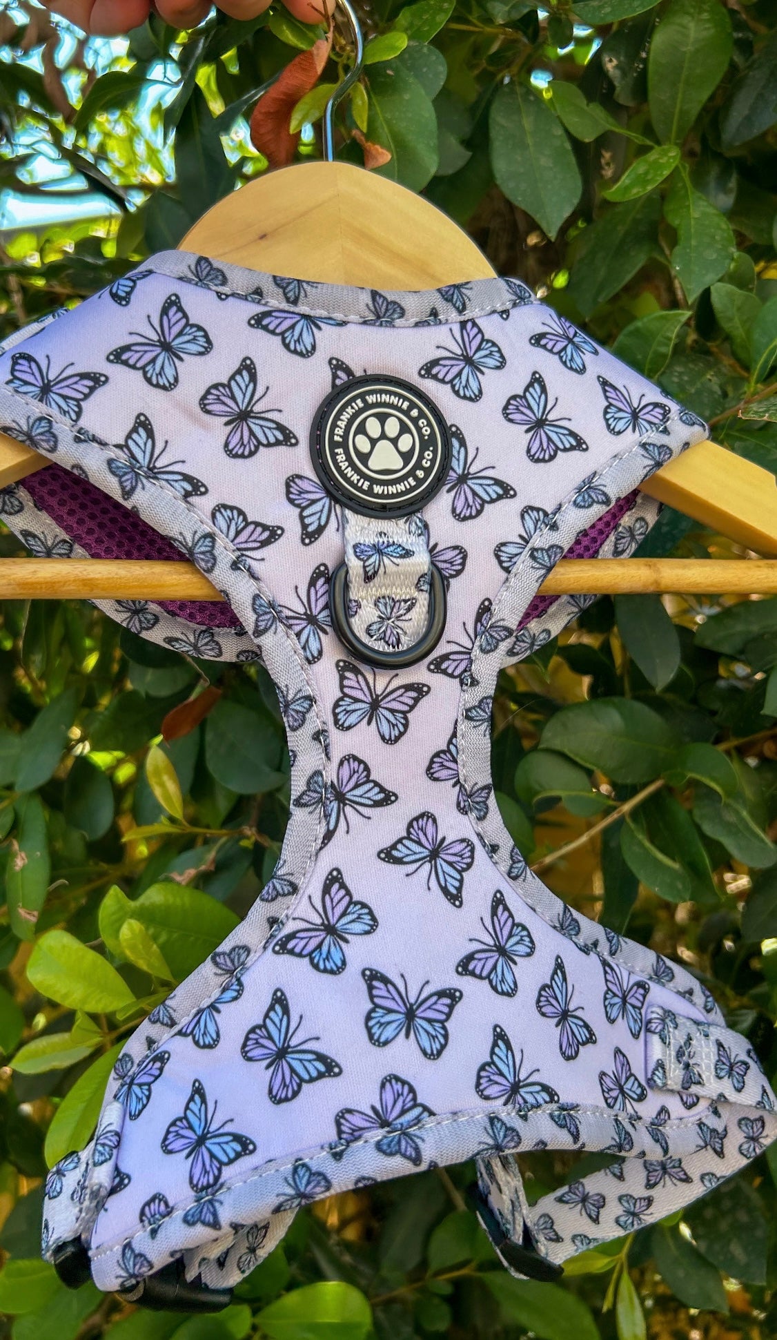 Butterfly Kisses Adjustable Harness