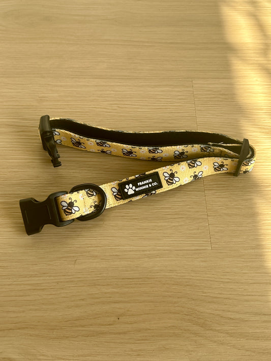 Honey Bee Collar