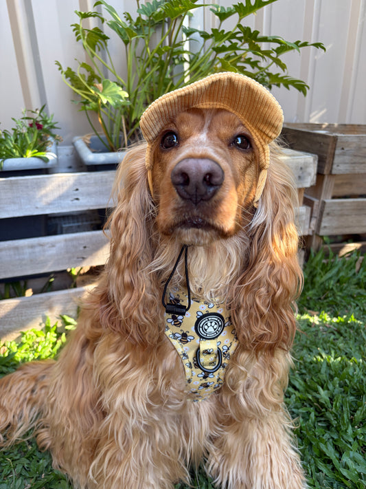 Dog Sun Hat - Yellow Corduroy