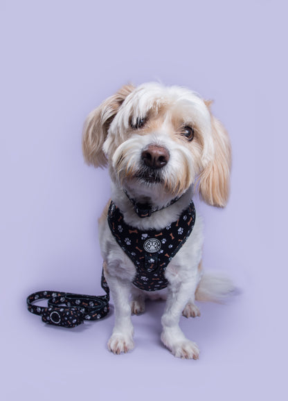 Bone Appétit Adjustable Harness