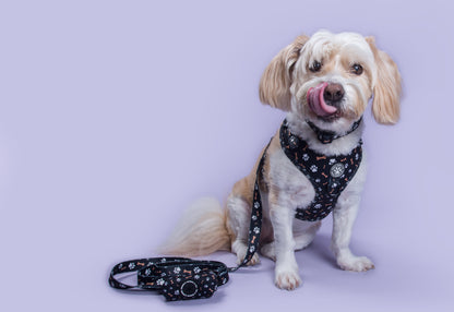 Bone Appétit Adjustable Harness