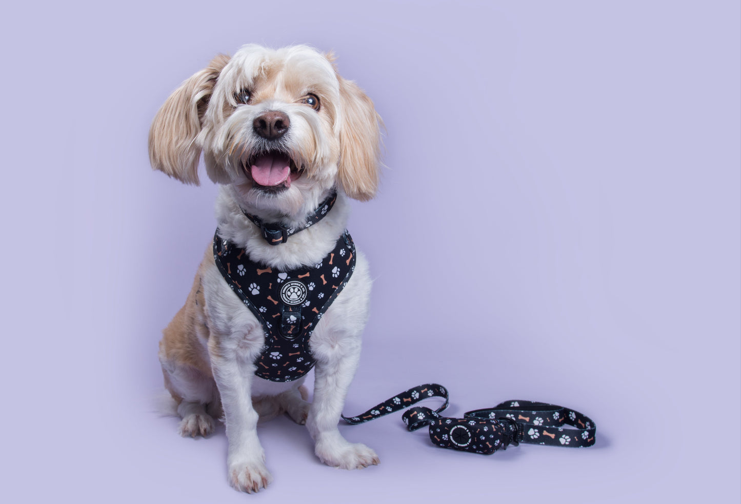 Bone Appétit Adjustable Harness