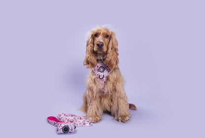 Cherry Disco Adjustable Harness