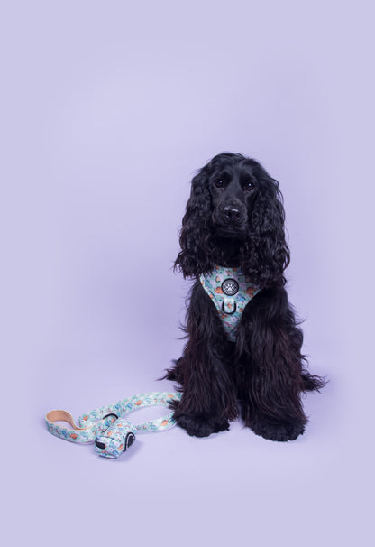 Dino Paws Adjustable Harness