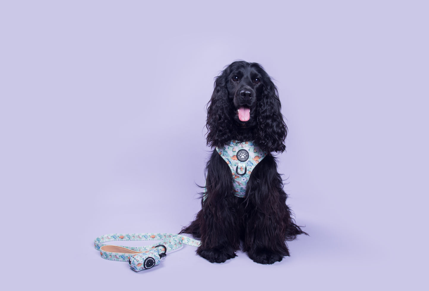 Dino Paws Adjustable Harness