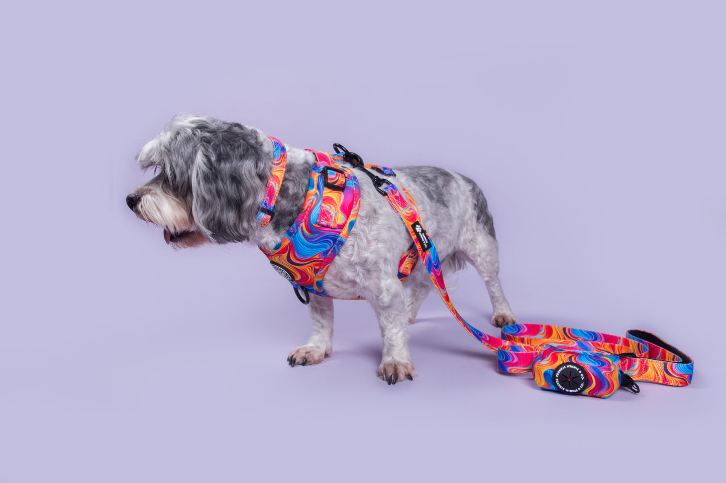 Psychedelic Paws Adjustable Harness