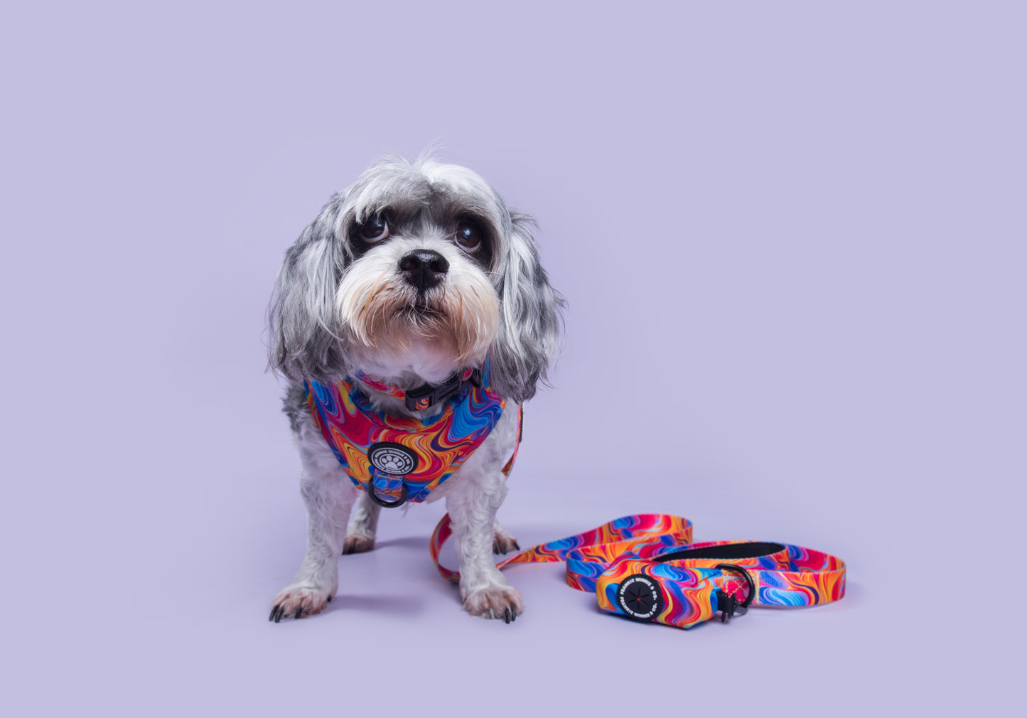 Psychedelic Paws Leash