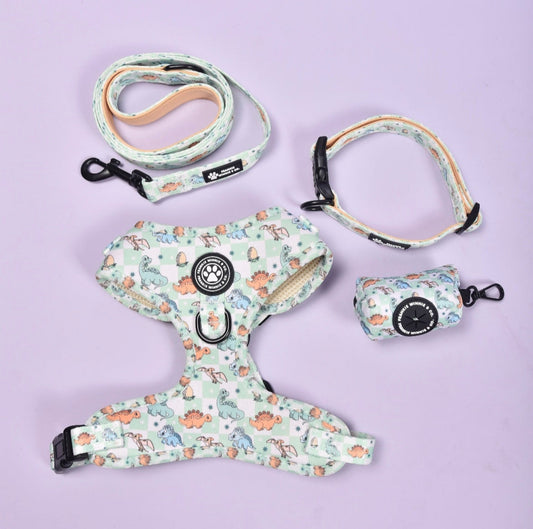 Dino Paws Walk Set (Save 10%)