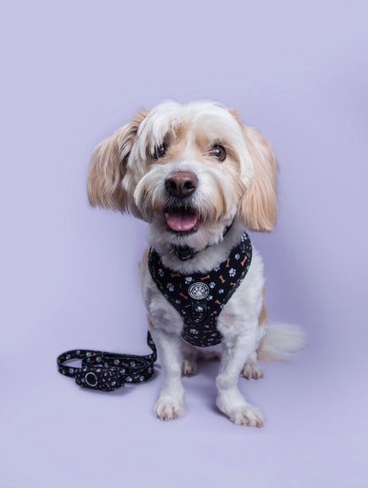 Bone Appétit Adjustable Harness