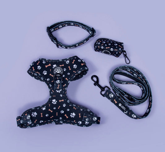 Bone Appétit Walk Set (Save 10%)