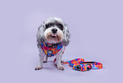 Psychedelic Paws Adjustable Harness