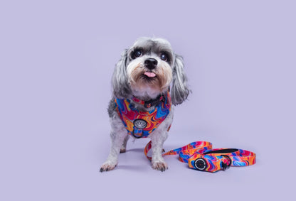 Psychedelic Paws Collar