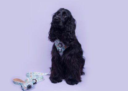 Dino Paws Adjustable Harness