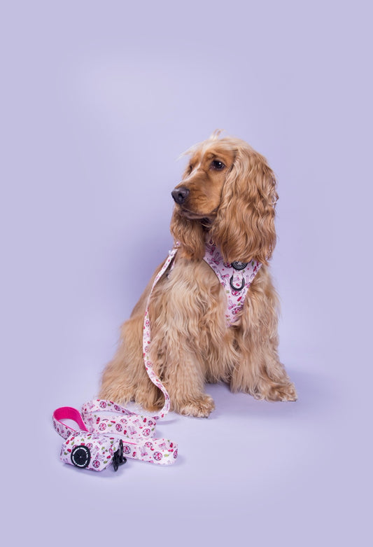 Cherry Disco Leash