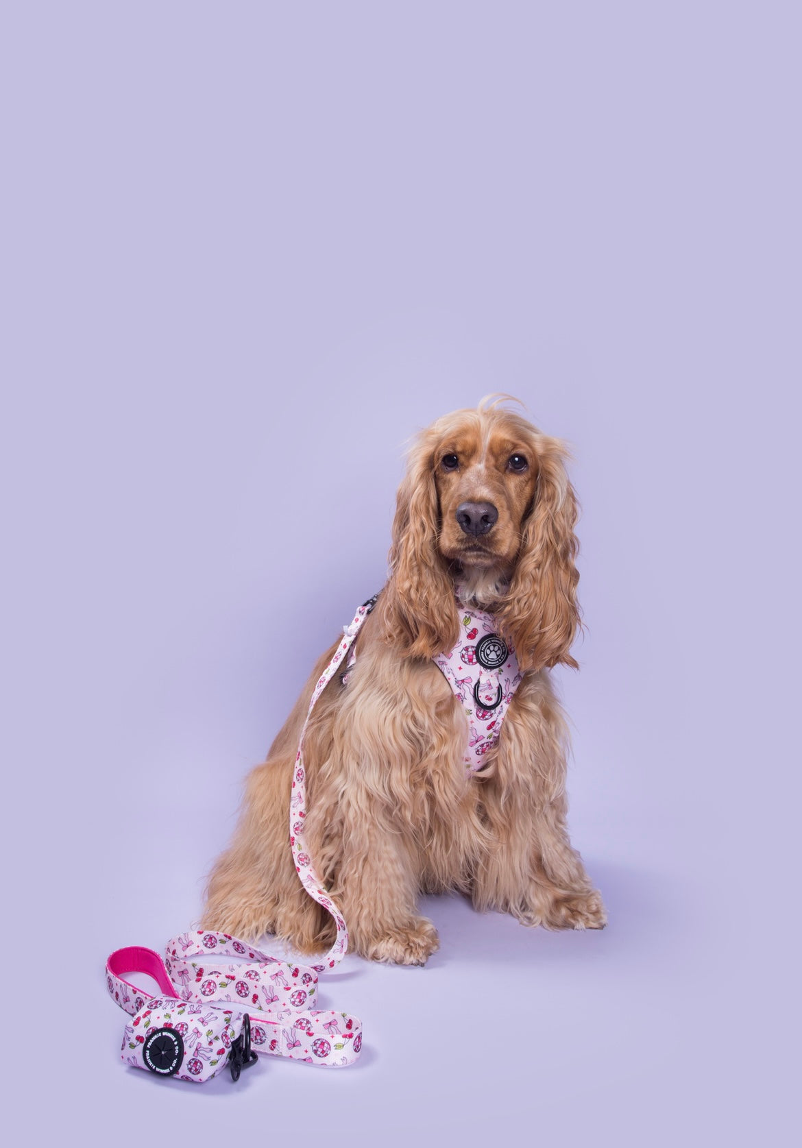 Cherry Disco Leash