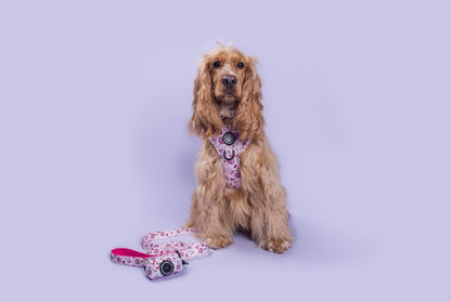 Cherry Disco Adjustable Harness