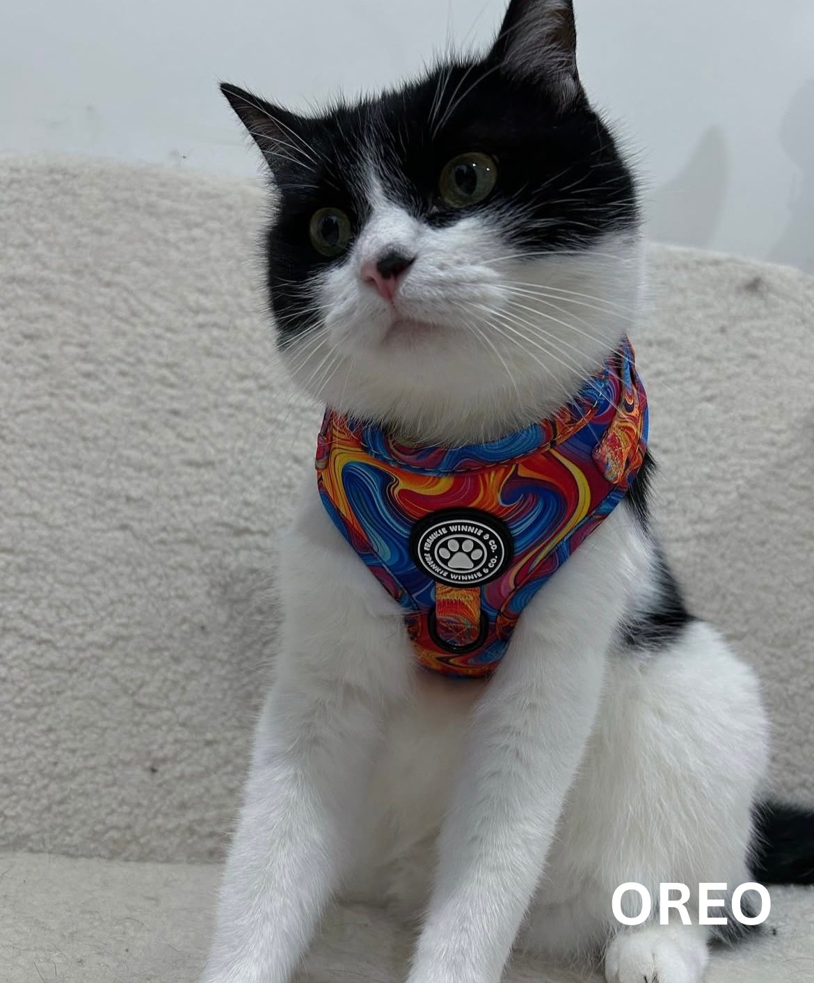 Psychedelic Paws Adjustable Harness