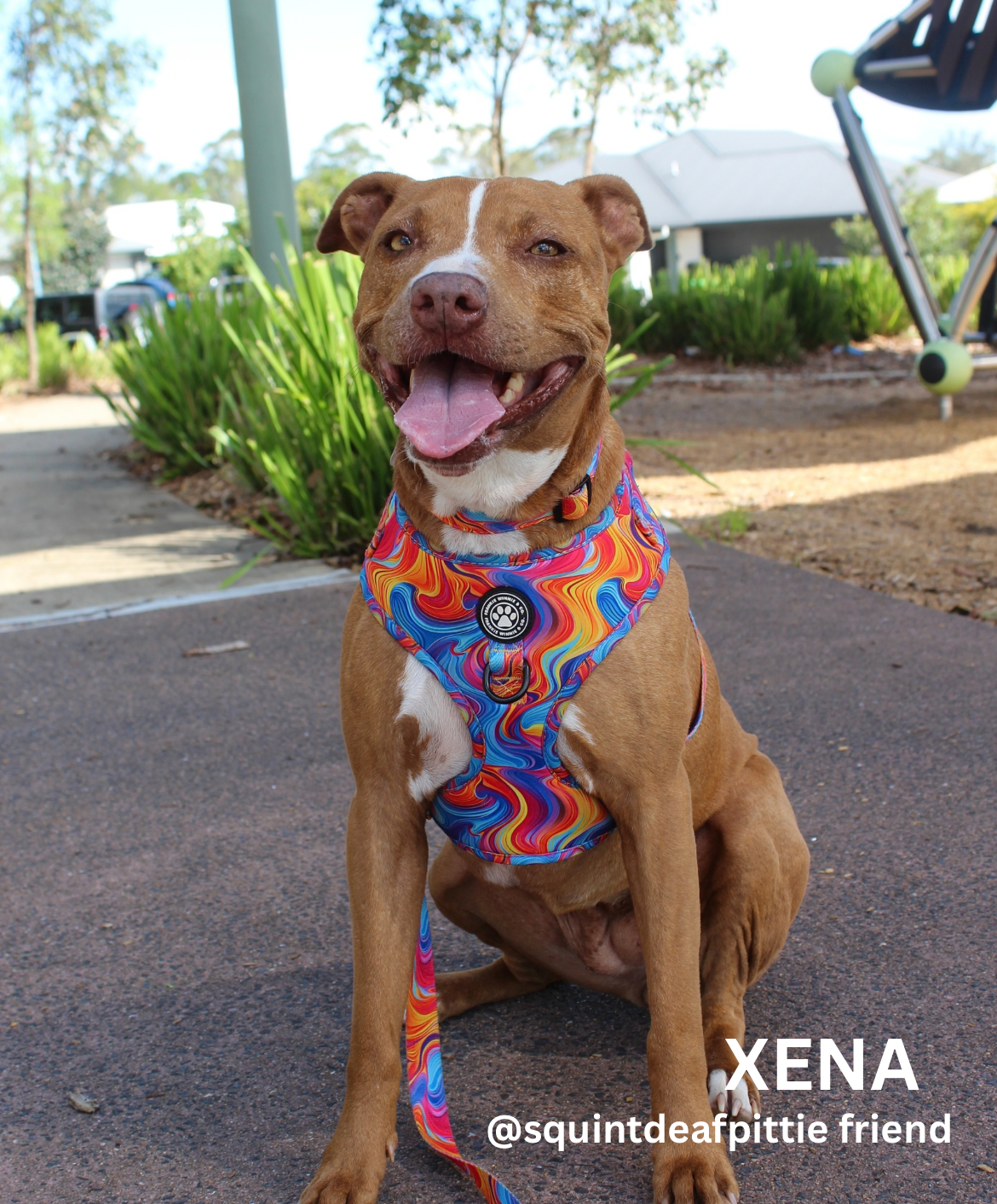 Psychedelic Paws Adjustable Harness