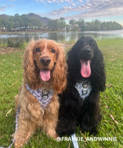 Butterfly Kisses Adjustable Harness