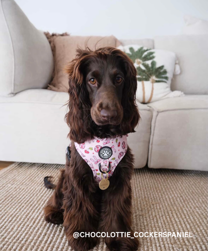 Cherry Disco Adjustable Harness