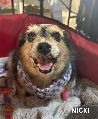 Butterfly Kisses Adjustable Harness